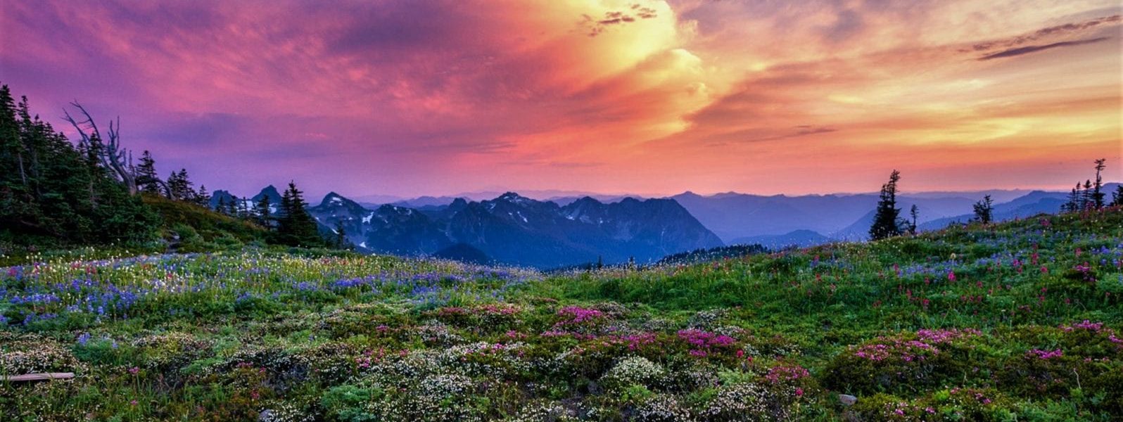 50th Anniversary of Earth Day, Taking a Step Back Toward a Better Environmental Future - CT Senate Republic