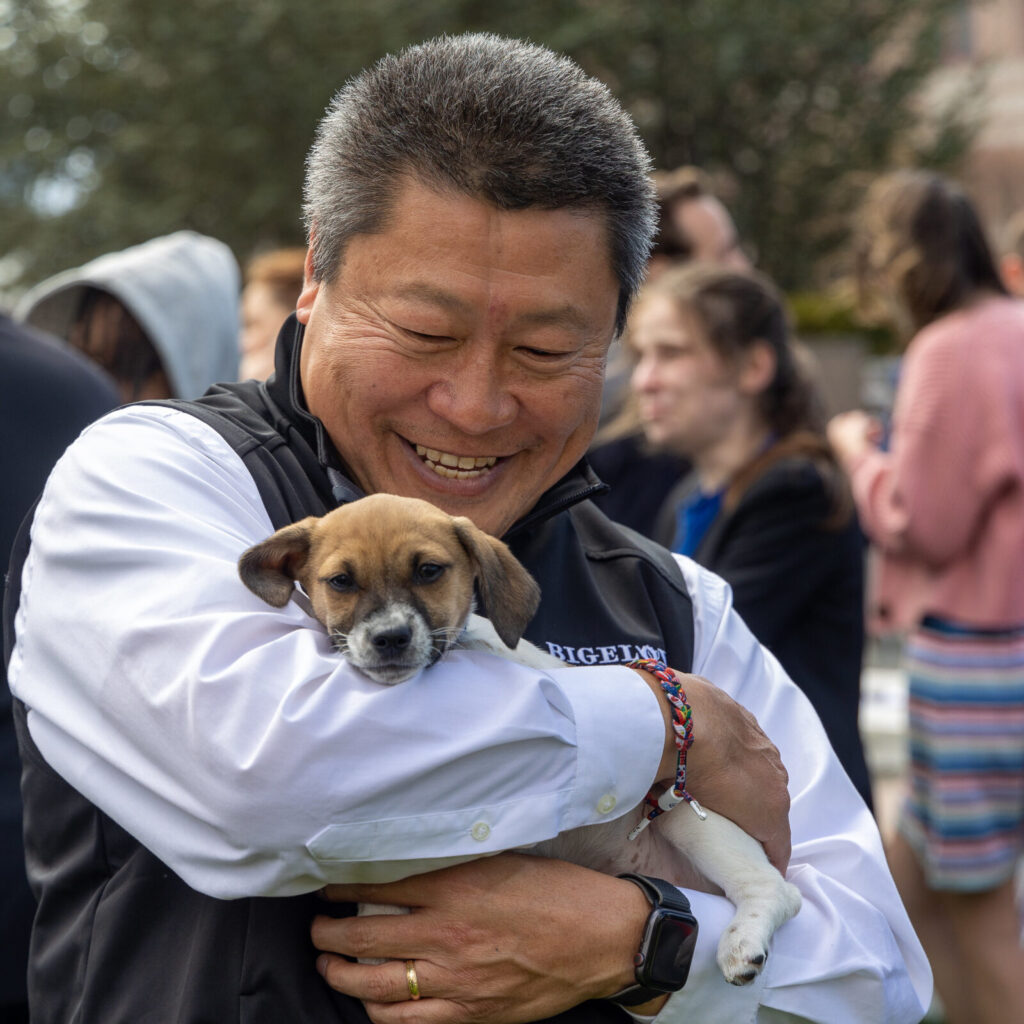 (Watch). Sen. Hwang fights for new CT law to protect cats, dogs - CT Senate Republic