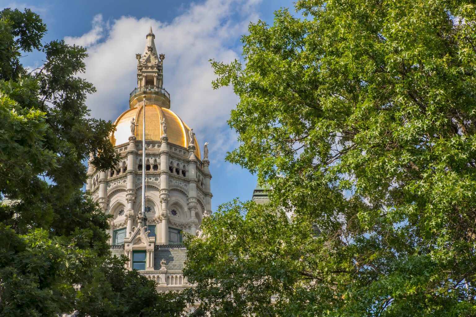 “Such hypocrisy.” Sen. Harding Statement Regarding Democrats’ ‘Rule of Law’ Press Conference - CT Senate Republic