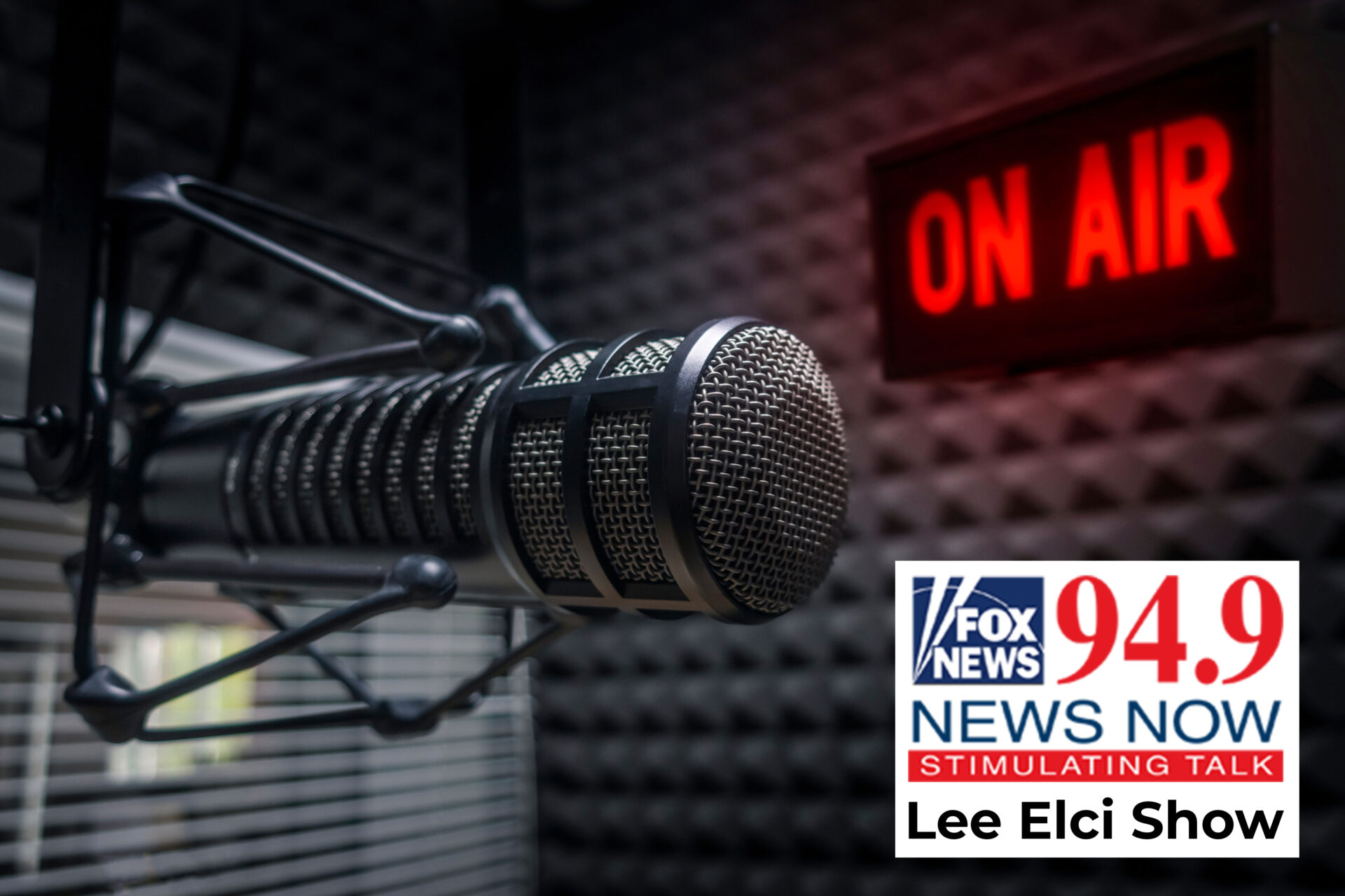 (Listen) Sen. Gordon Gets Interviewed on the Lee Elci Show - CT Senate Republic